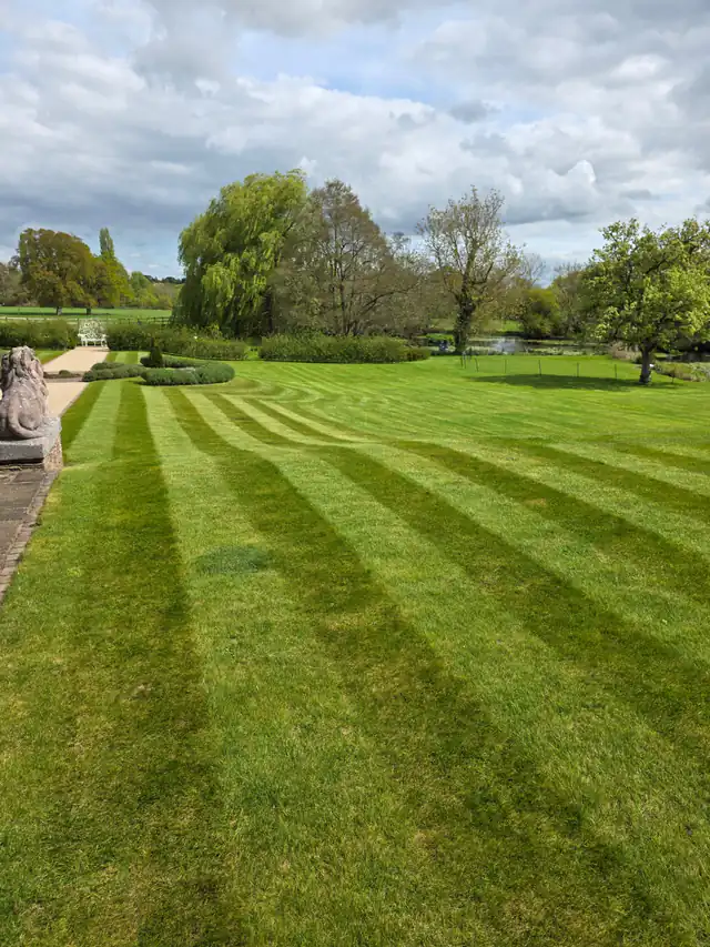 Striped lawn and carefully maintained borders in a garden cared for by Elias Gardens & Grounds